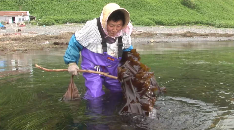 第４８回 ユリばあちゃんの岬 北海道・知床半島